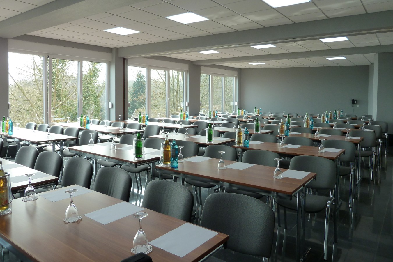 Design-Konferenzhotel Steinernes Schweinchen